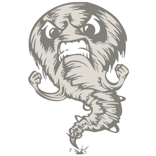 BAW STORM 07 RC Thumbnail